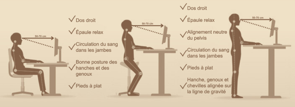 bonne posture à adopté assis, debout et assis/debout schéma vectorielle