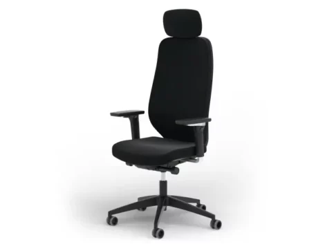 fauteuil de bureau ergonomique Ergotopia MasterBabk Pro
