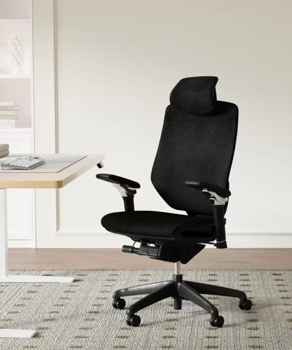fauteuil de bureau ergonomique flexispot bs12 pro avec un bureau assis debout
