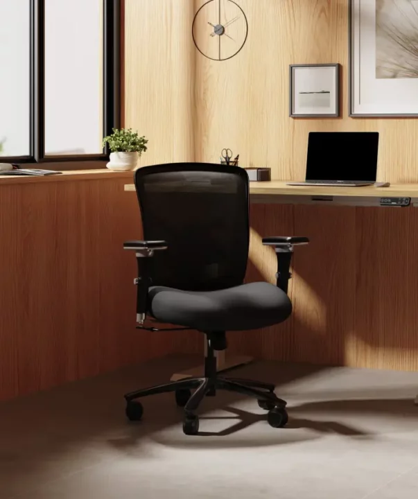 fauteuil de bureau ergonomique flexispot c3