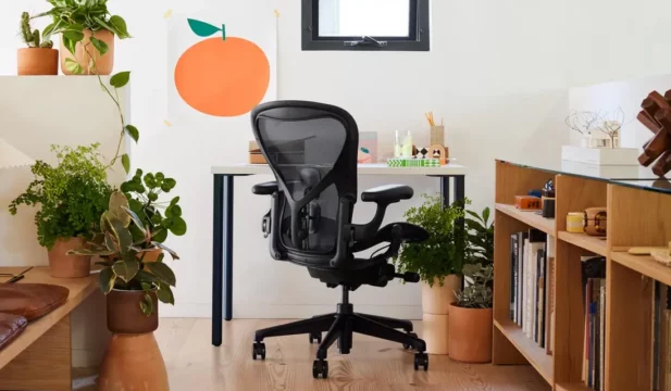 fauteuil de bureau ergonomique herman miller aeron avec bureau et plantes
