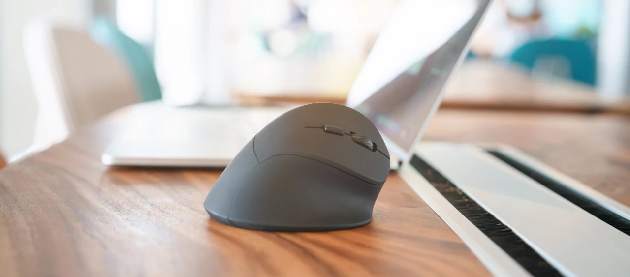 souris ergonomique vertical sans fil
