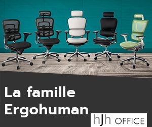 Chaise ergonomique HJH Office - Ergo Human