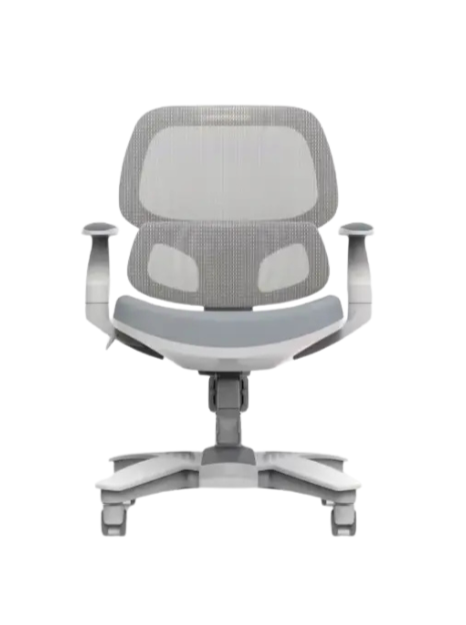 chaise ergonomique flexispot sc 05
