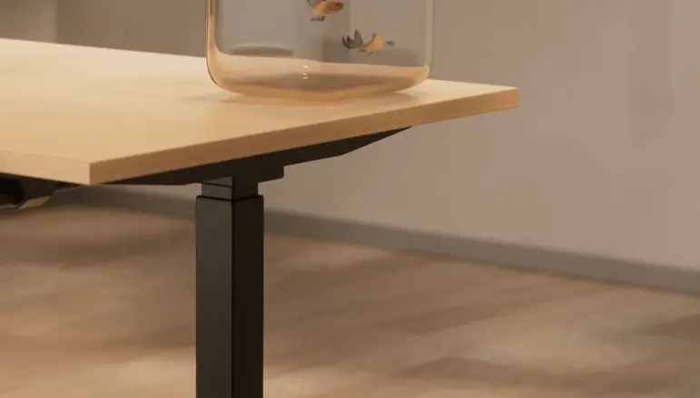 aum world handy go zoom sur le plateau.